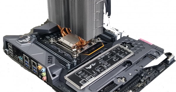 x299-600x315w.jpg