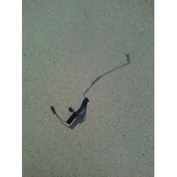 Set microfoane Fujitsu Amilo Pa1538